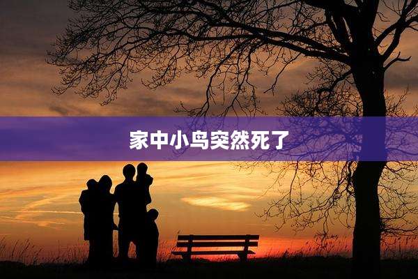 家中小鸟突然死了