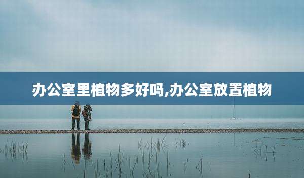 办公室里植物多好吗,办公室放置植物
