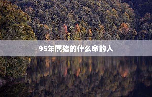 95年属猪的什么命的人