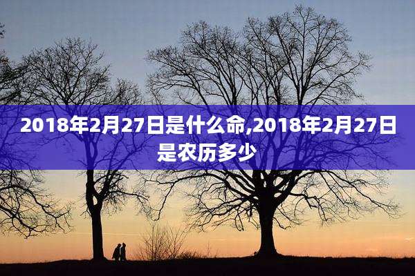 2018年2月27日是什么命,2018年2月27日是农历多少