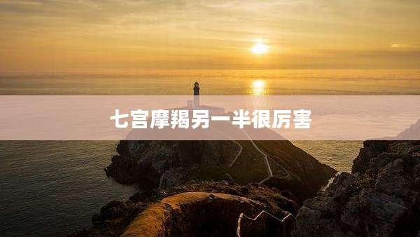 七宫摩羯另一半很厉害