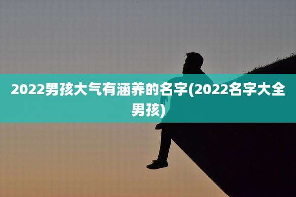 2022男孩大气有涵养的名字(2022名字大全男孩)