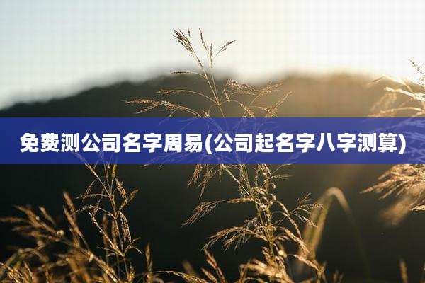 免费测公司名字周易(公司起名字八字测算)