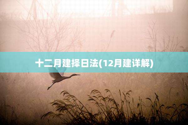 十二月建择日法(12月建详解)