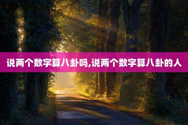 说两个数字算八卦吗,说两个数字算八卦的人
