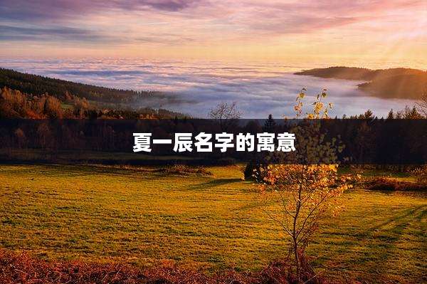 夏一辰名字的寓意