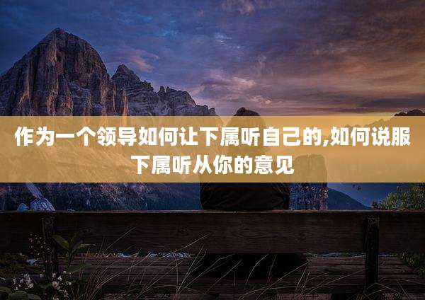 作为一个领导如何让下属听自己的,如何说服下属听从你的意见