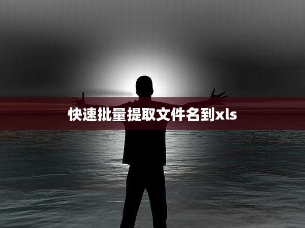 快速批量提取文件名到xls
