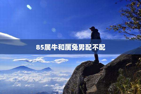 85属牛和属兔男配不配