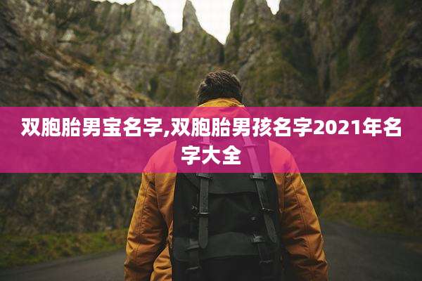 双胞胎男宝名字,双胞胎男孩名字2021年名字大全