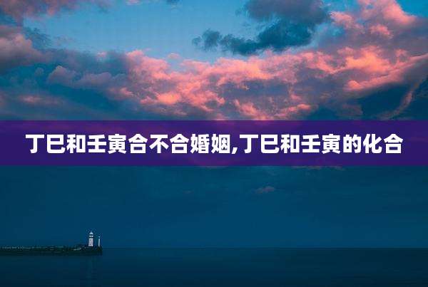 丁巳和壬寅合不合婚姻,丁巳和壬寅的化合