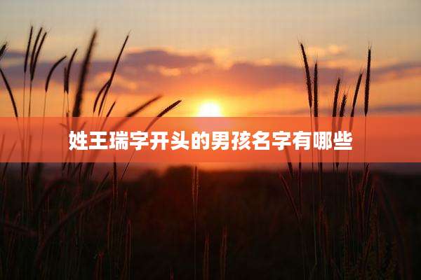 姓王瑞字开头的男孩名字有哪些