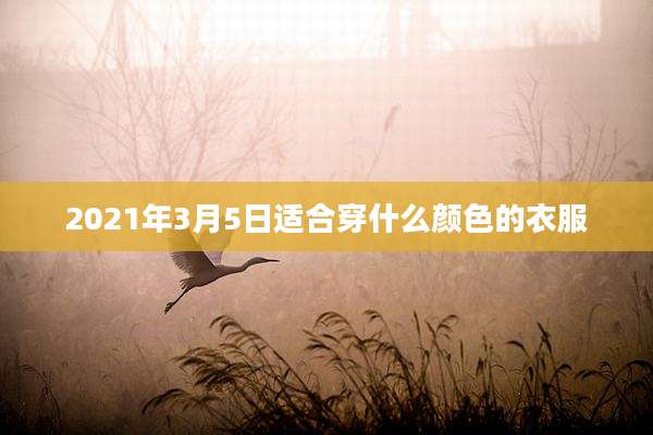 2021年3月5日适合穿什么颜色的衣服
