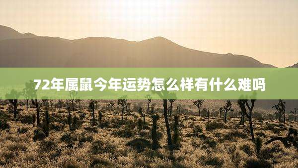 72年属鼠今年运势怎么样有什么难吗