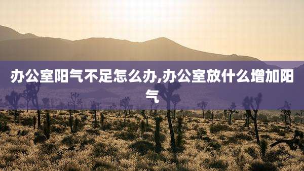 办公室阳气不足怎么办,办公室放什么增加阳气