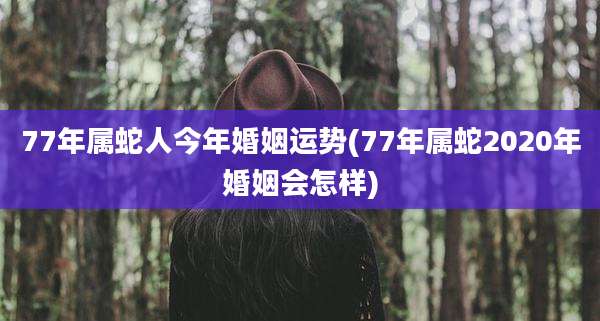 77年属蛇人今年婚姻运势(77年属蛇2020年婚姻会怎样)