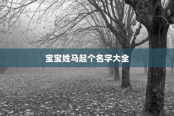 宝宝姓马起个名字大全