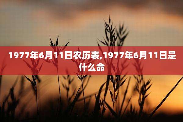 1977年6月11日农历表,1977年6月11日是什么命