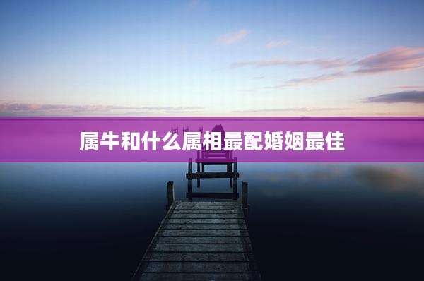 属牛和什么属相最配婚姻最佳