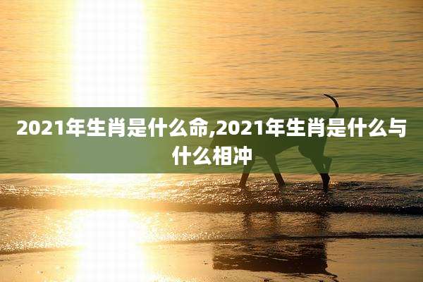 2021年生肖是什么命,2021年生肖是什么与什么相冲