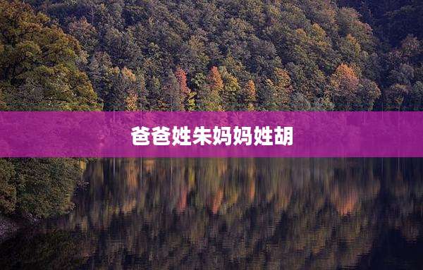 爸爸姓朱妈妈姓胡
