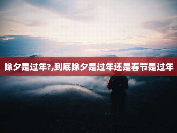 除夕是过年?,到底除夕是过年还是春节是过年