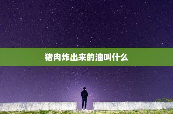 猪肉炸出来的油叫什么