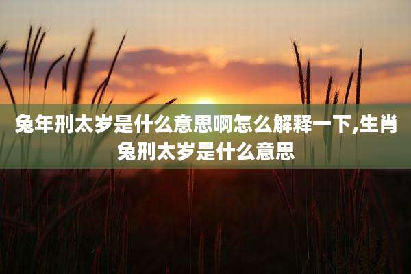 兔年刑太岁是什么意思啊怎么解释一下,生肖兔刑太岁是什么意思