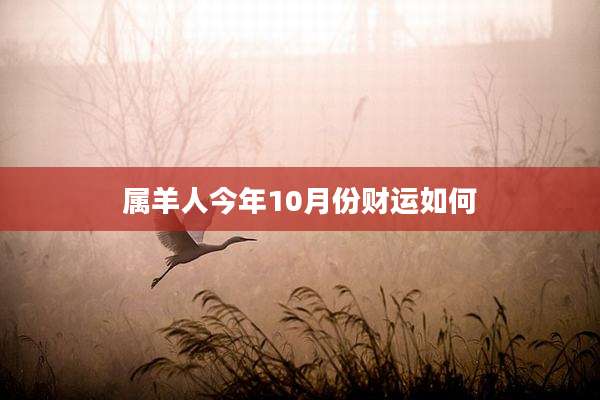 属羊人今年10月份财运如何