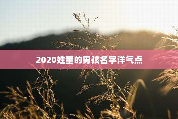2020姓董的男孩名字洋气点
