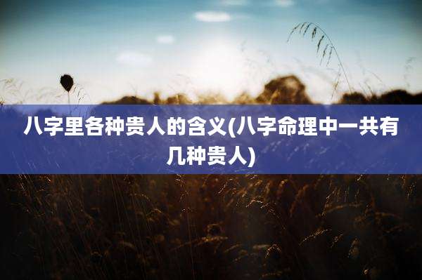 八字里各种贵人的含义(八字命理中一共有几种贵人)