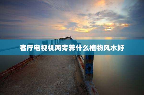 客厅电视机两旁养什么植物风水好