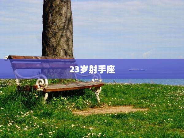 23岁射手座