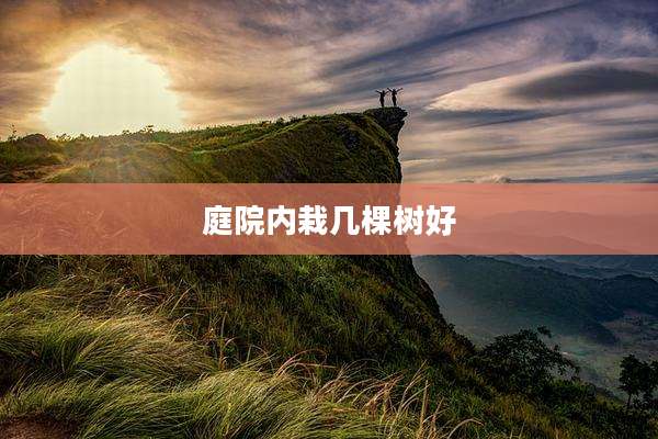 庭院内栽几棵树好