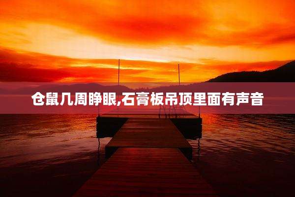 仓鼠几周睁眼,石膏板吊顶里面有声音