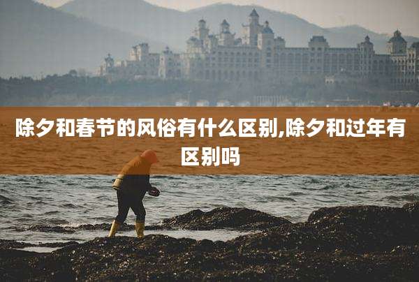 除夕和春节的风俗有什么区别,除夕和过年有区别吗