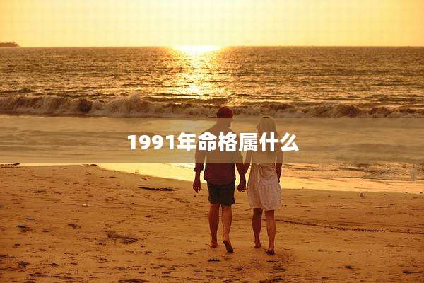 1991年命格属什么