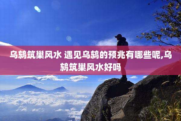 乌鸫筑巢风水 遇见乌鸫的预兆有哪些呢,乌鸫筑巢风水好吗