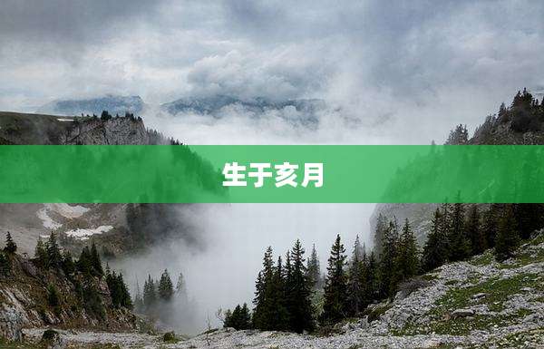 生于亥月
