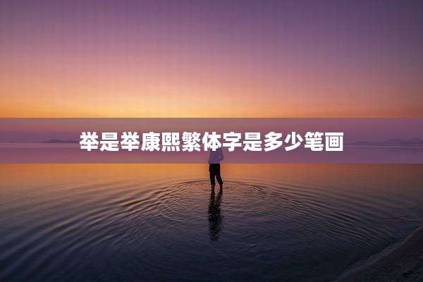 举是举康熙繁体字是多少笔画