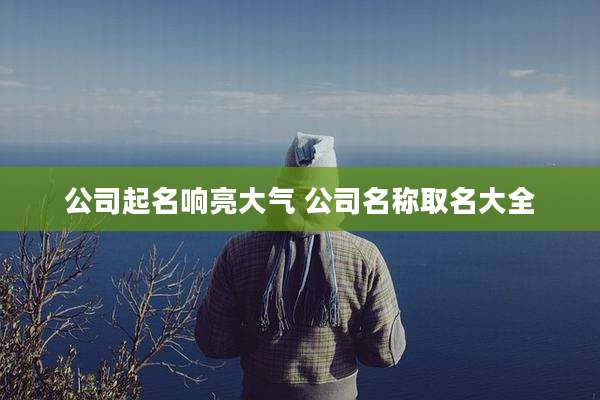 公司起名响亮大气 公司名称取名大全