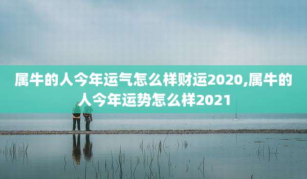 属牛的人今年运气怎么样财运2020,属牛的人今年运势怎么样2021