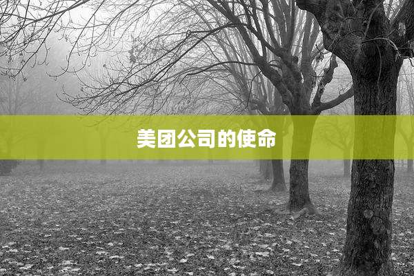 美团公司的使命