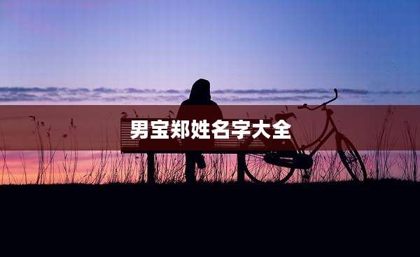 男宝郑姓名字大全