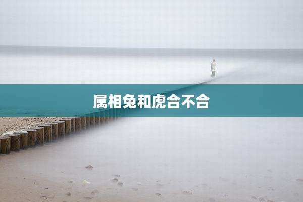 属相兔和虎合不合