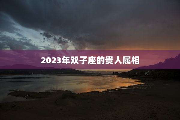 2023年双子座的贵人属相