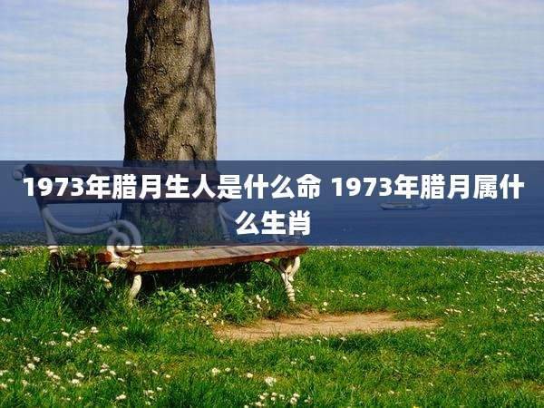 1973年腊月生人是什么命 1973年腊月属什么生肖