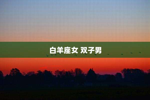 白羊座女 双子男