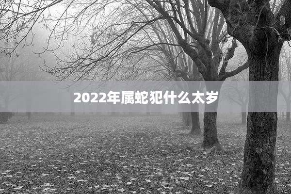 2022年属蛇犯什么太岁
