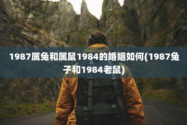 1987属兔和属鼠1984的婚姻如何(1987兔子和1984老鼠)